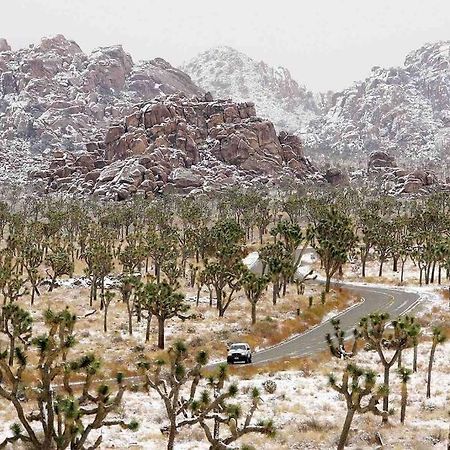 Joshua Tree'S Highland Hideaway Compound Vila Exterior foto